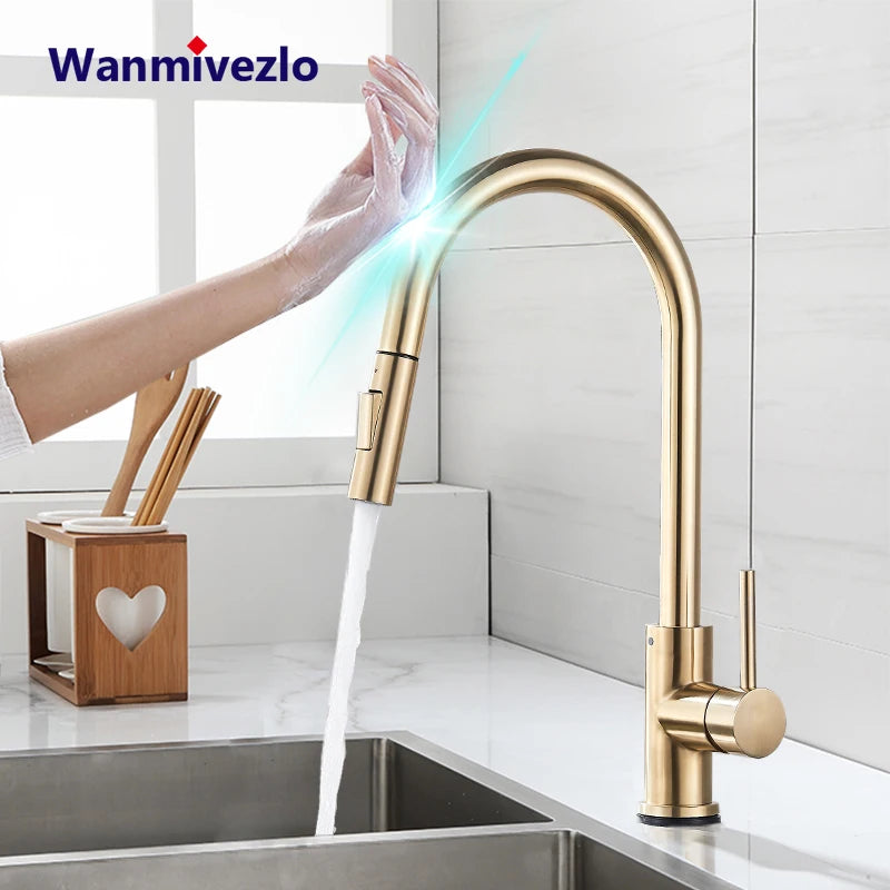 Wanmivezlo Pull Out Touch Sensor Kitchen Faucet With 360 Rotation