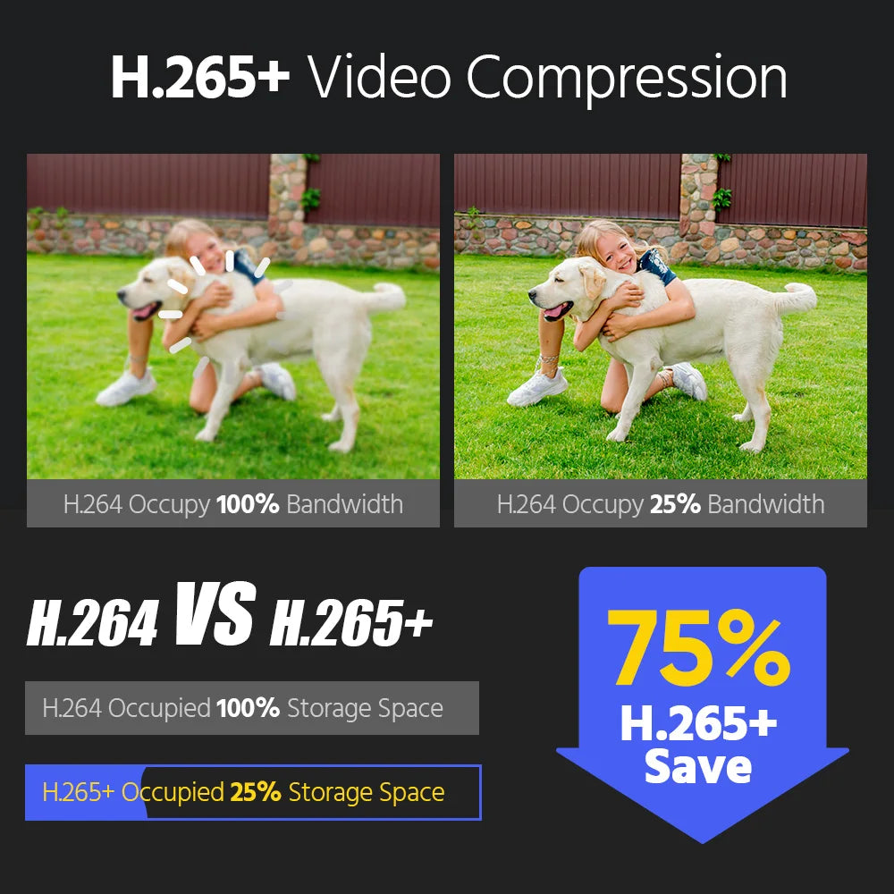 ANNKE 12MP 3K Outdoor Dual Light PoE IP67 Security Camera